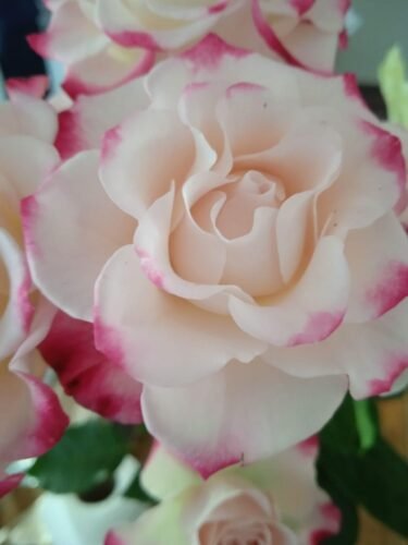 f3302478-b08a-4ec5-84e4-203559d8cb37